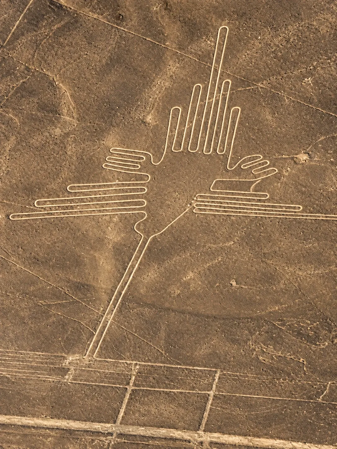 The hummingbird geoglyph of the Nazca Lines from the air